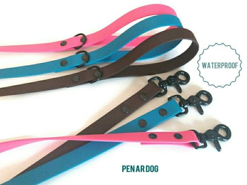 Laisse Waterproof Personnalisable