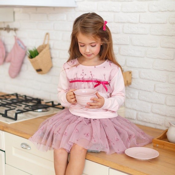 Dusty Pink Mesh Skirt With Embroidery, Cotton Longsleeve Top, Soft Tulle  Layers With Lining, Baby Toddler Girl Outfit for Special Occasions 