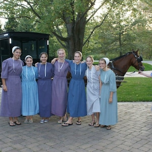 Puede incluir: Un grupo de ocho mujeres j&oacute;venes con vestidos largos y gorros blancos se encuentran frente a un carruaje negro tirado por un caballo. Las mujeres sonr&iacute;en y miran a la c&aacute;mara. El carruaje est&aacute; estacionado en un camino pavimentado con hierba verde a ambos lados.