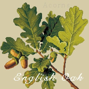 May include: A cross-stitch pattern featuring a branch of green oak leaves and brown acorns on a beige background. The text reads Autumn, Acorns, English Oak, and Quercus Robur in white and light gray pixelated fonts across the design.