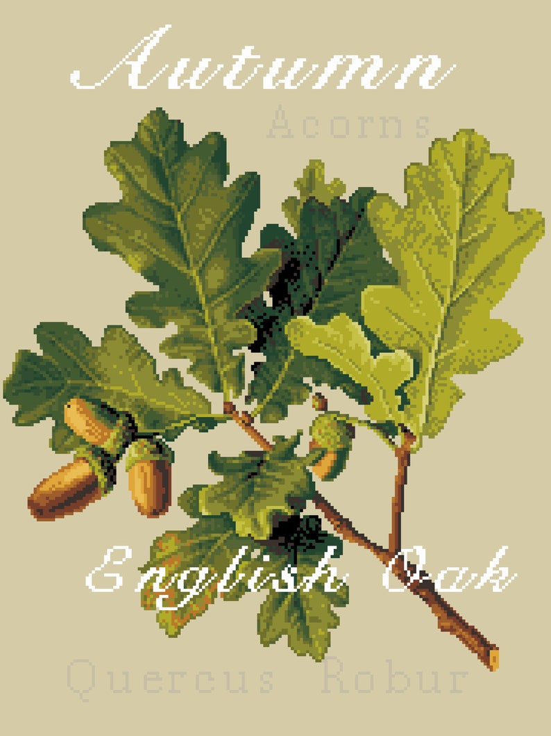 May include: A cross-stitch pattern featuring a branch of green oak leaves and brown acorns on a beige background. The text reads Autumn, Acorns, English Oak, and Quercus Robur in white and light gray pixelated fonts across the design.