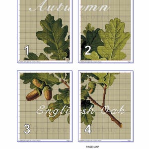May include: A four-page cross-stitch pattern titled Rustic English Oak by Vivienne Powers. Each page features a grid with green oak leaves and brown acorns. The text Autumn and English Oak is visible. A page map explains the color and symbol keys.