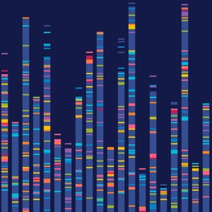 DNA im Kreuzstich! - Ein wirklich modernes Stück, Genome Sequencing barcode Mapping - Zeitgenössische Wandkunst Chart sofortiger Download PDF - 092