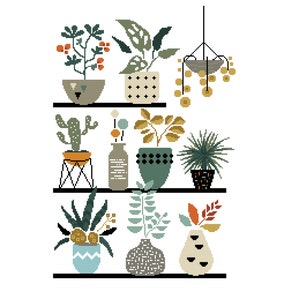 May include: A set of potted plants on a shelf with a hanging planter. The plants include a cactus, a fern, a succulent, and a leafy plant. The pots are various colors and patterns, including green, blue, brown, and white.