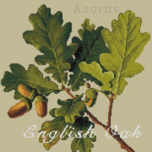 May include: A cross-stitch pattern on a beige background featuring a detailed illustration of an oak branch with green leaves and brown acorns. The text reads Autumn, Acorns, English Oak, and Quercus Robur in white and light gray lettering.