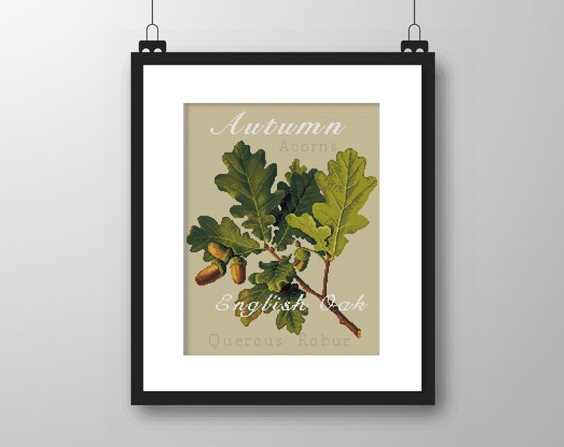 May include: A framed botanical print featuring a branch of green oak leaves and brown acorns on a beige background. The text reads Autumn, Acorns, English Oak, and Quercus Robur. The artwork is enclosed in a simple black frame with a white mat.