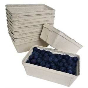 Nutley's Fruit Punnets Fibra Biodegradável Compostável Reciclado 500g
