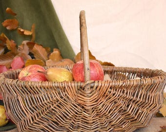 Nutley's Medium Beautiful Hand-Made Rustic Willow Garden Trug Basket wicker