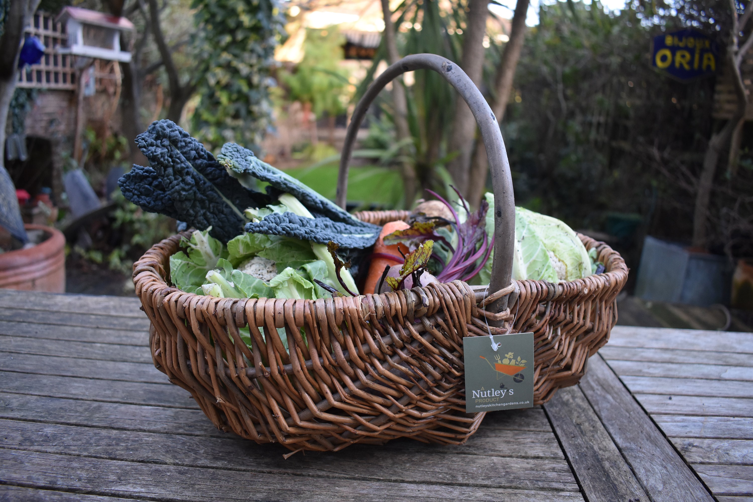Nutley&#39;s Medium Beautiful Hand-Made Rustic Willow Garden Trug Basket wicker