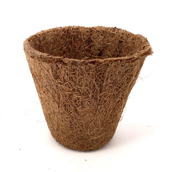 Nutleys 8 cm Fibre Plant Pots Pack of 50