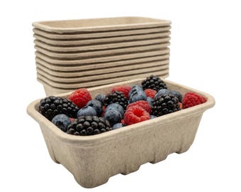 Nutley's Pulp Fruit Punnets Fibre Biodegradable Compostable Recycled 500g