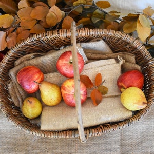 Nutley's Medium Beautiful Hand-Made Rustic Willow Garden Trug Basket wicker image 4