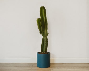 Large Planter - Deep Blue - Indoor + Outdoor Pot - 8 inch, 12 inch, 16 inch + 20 inch - Minimalist Home Decor