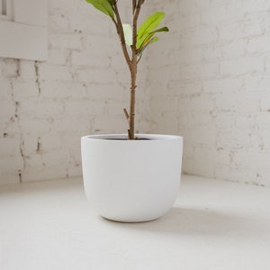Large Planter - White Rounded Cylinder - Indoor + Outdoor Pot - 11 inch, 15 inch, 18 inch,  22inch + 28 inch - Minimalist Home Decor