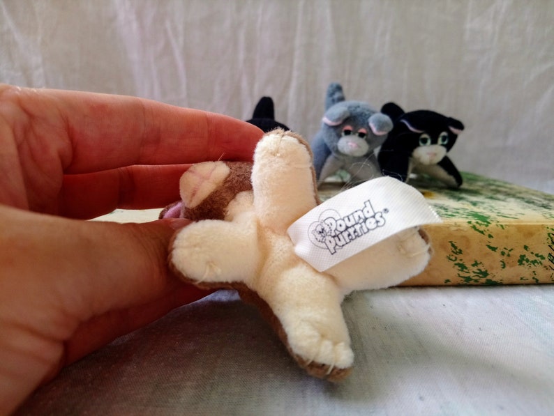 ADOPT YOUR OWN pound purries miniatures pound puppy | Etsy
