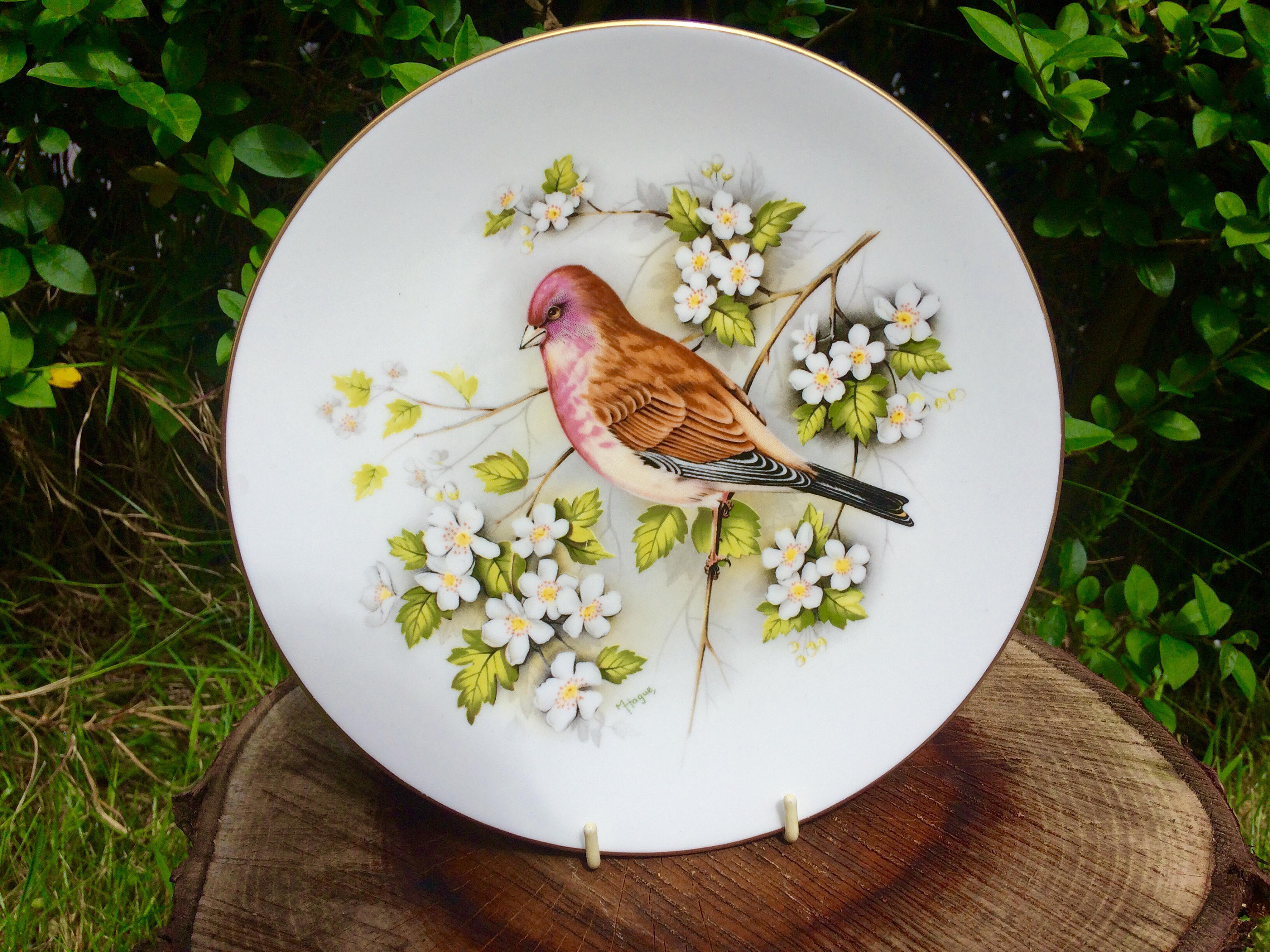 Royal Worcester decorative bird plate / vintage collectible Etsy