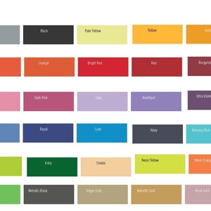 May include: A color chart displaying a variety of matte paint swatches. The chart includes a wide range of colors, from white and gray to vibrant hues like orange, red, and blue. Each color is labeled with its name.