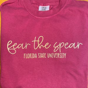 Custom College Slogan, Mascot University Tshirt- Comfort Colors long and short sleeve image 12