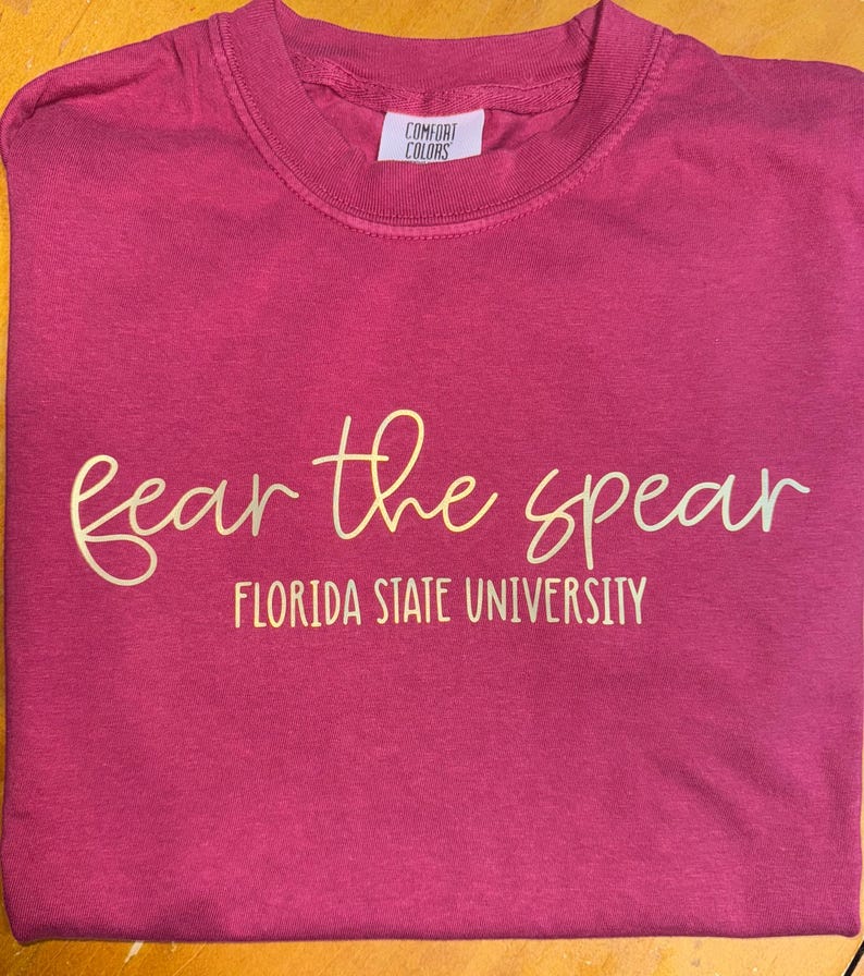 Custom College Slogan, Mascot University Tshirt- Comfort Colors long and short sleeve image 12