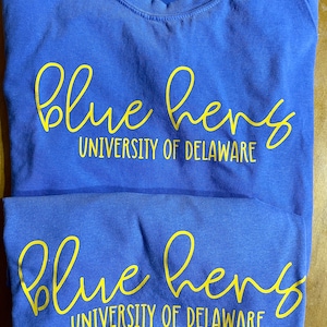 Custom College Slogan, Mascot, name University Tshirt- Comfort Colors