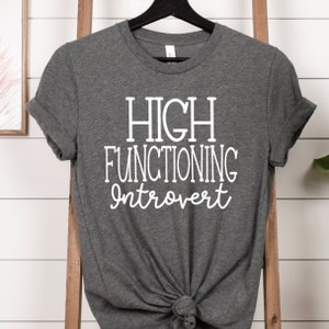 Introvertido de alto funcionamiento