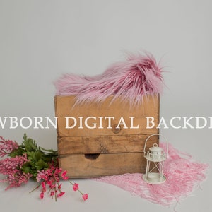 Newborn Digital Prop Backdrop Background