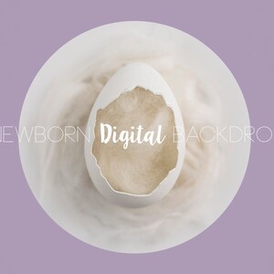 SAle*Newborn Digital Backdrop Egg Prop Newborn Digital Background Spring Easter