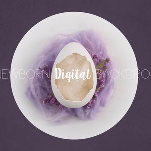 SAle*Newborn Digital Backdrop Egg Prop Newborn Digital Background