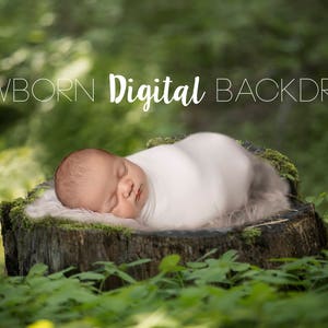 Newborn Digital Backdrop Background Outdoor Nature