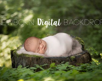 May include: A newborn baby sleeping on a mossy tree stump in a forest setting. The baby is wrapped in a white swaddle and is lying on its side. The background is a blurred green forest.