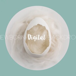 SAle*Newborn Digital Backdrop Egg Prop Newborn Digital Background Spring Easter