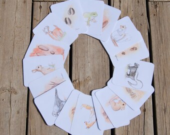 May include: A set of 12 illustrated cards featuring various animals and their footprints. The cards are white with a light brown background and feature watercolor illustrations of a deer, rabbit, crow, squirrel, frog, cat, and more.