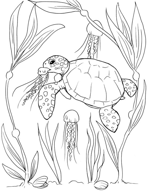 Detailed Sea Turtle Advanced Coloring Page