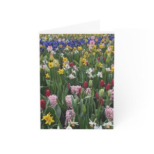 Cartões de felicitações florais - 1, 10, 30, 50 unidades | Cartões de primavera para todas as ocasiões, aniversário, agradecimento, casamento, comemoração