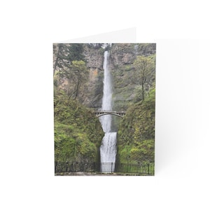 Conjunto de cartões de felicitações inspirados na natureza - Vários tamanhos para comemorações, bilhetes de agradecimento, desejos de aniversário, cartões em branco
