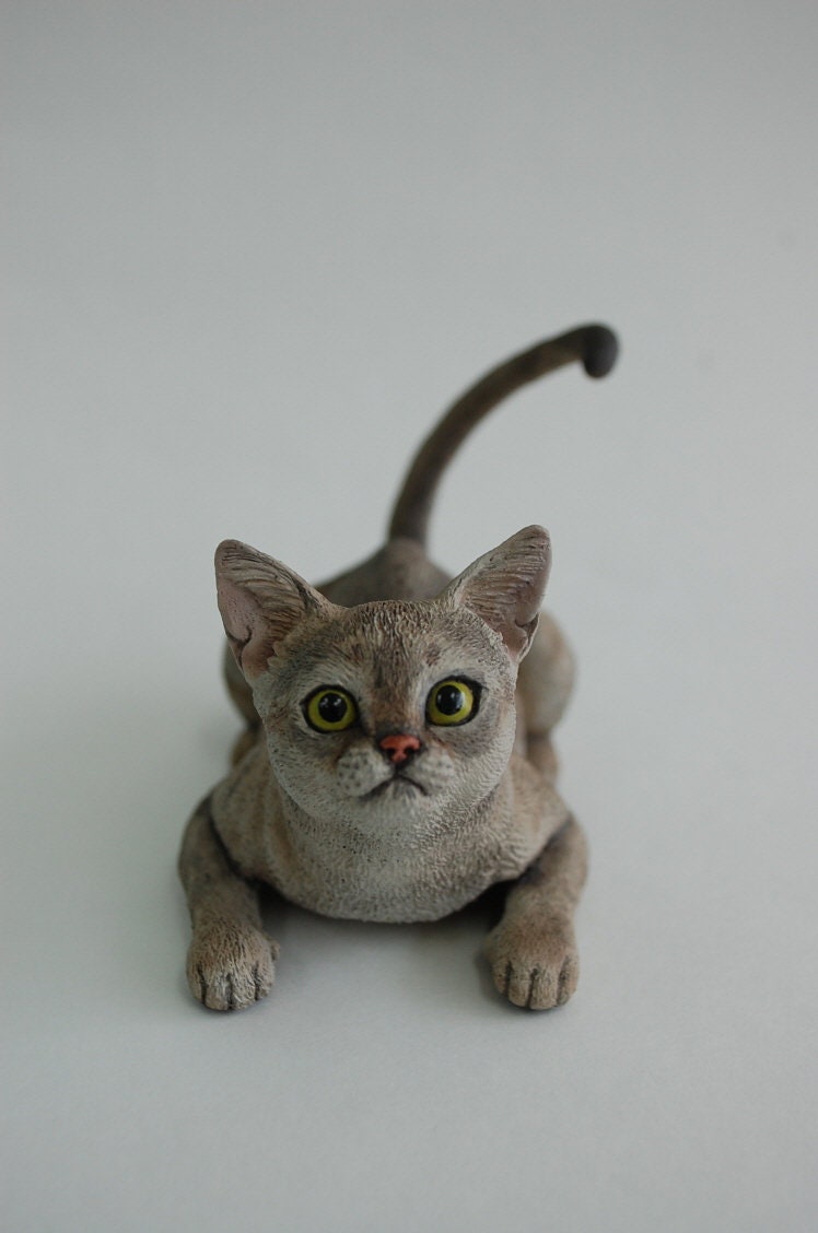 Singapura Cat Figurineready Etsy