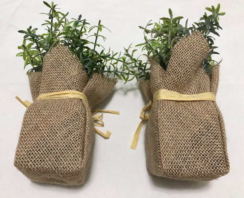 Two Small Decorative Plastic Plants Tied in Burlap Bags