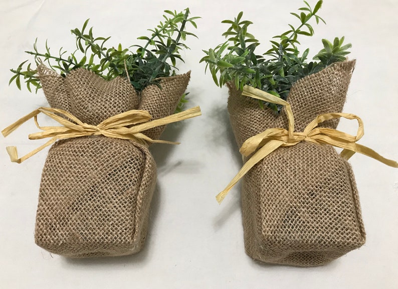 Two Small Decorative Plastic Plants Tied in Burlap Bags