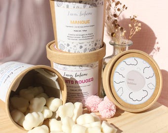 Frascos de ceras aromáticas para fundir
