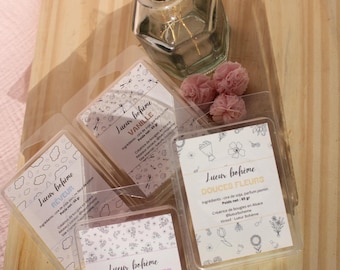 Pequeñas pastillas de cera perfumada