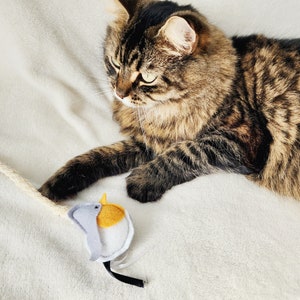 Cat Teaser Wand, Bird Cat Toy with ribbons, catnip and bell image 8