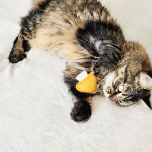 Cat Toys, Colorful Mushroom Bundle, with natural catnip image 4