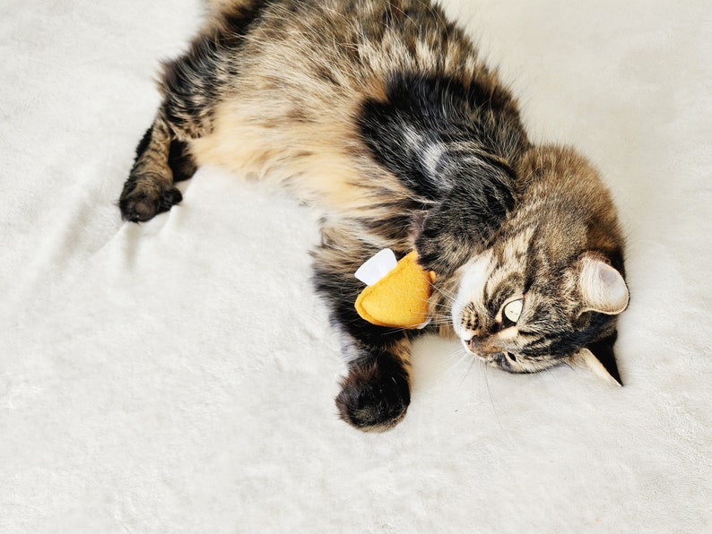 Cat Toys, Colorful Mushroom Bundle, with natural catnip image 4