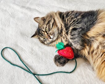 Cat Teaser Wand - Strawberry Cat Wand Teaser Toy w/ String, Organic Catnip and Bell