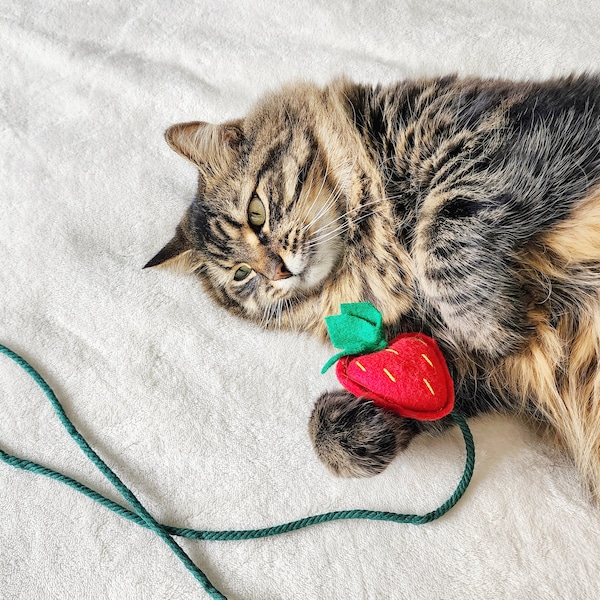 Cat Teaser Wand - Strawberry Cat Wand Teaser Toy w/ String, Organic Catnip and Bell
