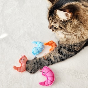 Cat Toys Shrimp Cat Toy Bundle Catnip, string and bells image 2