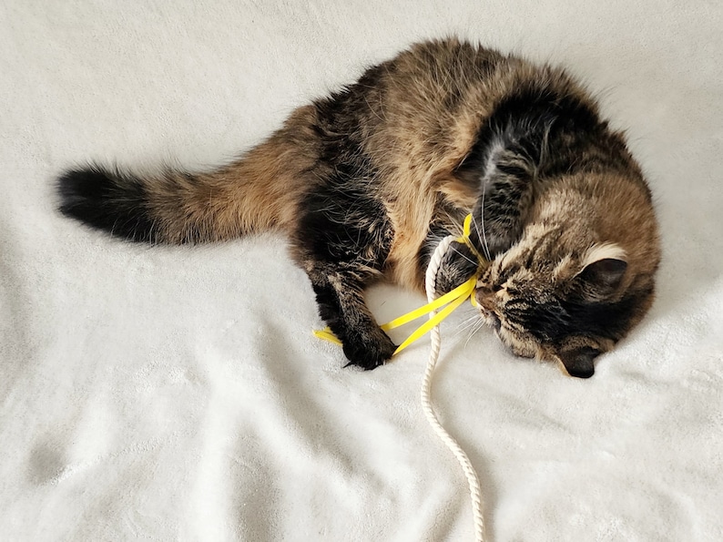 Cat Teaser Wand, Cat Toy Star, Cat Toys Wand, Cute Cat Toys, Cat String Toy, Organic Cat Toy, Cat Teaser Toys, Kawaii cat Toy, Felt Cat Toy image 3