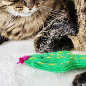 Cat Toys Cactus Catnip Toy Organic Catnip and bells inside image 6