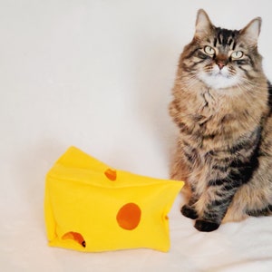 Cat Toys, Cheese Puzzle Cat Toy, with Mice and Bells!