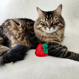 Cat Toys Strawberry Organic Catnip and bells image 6